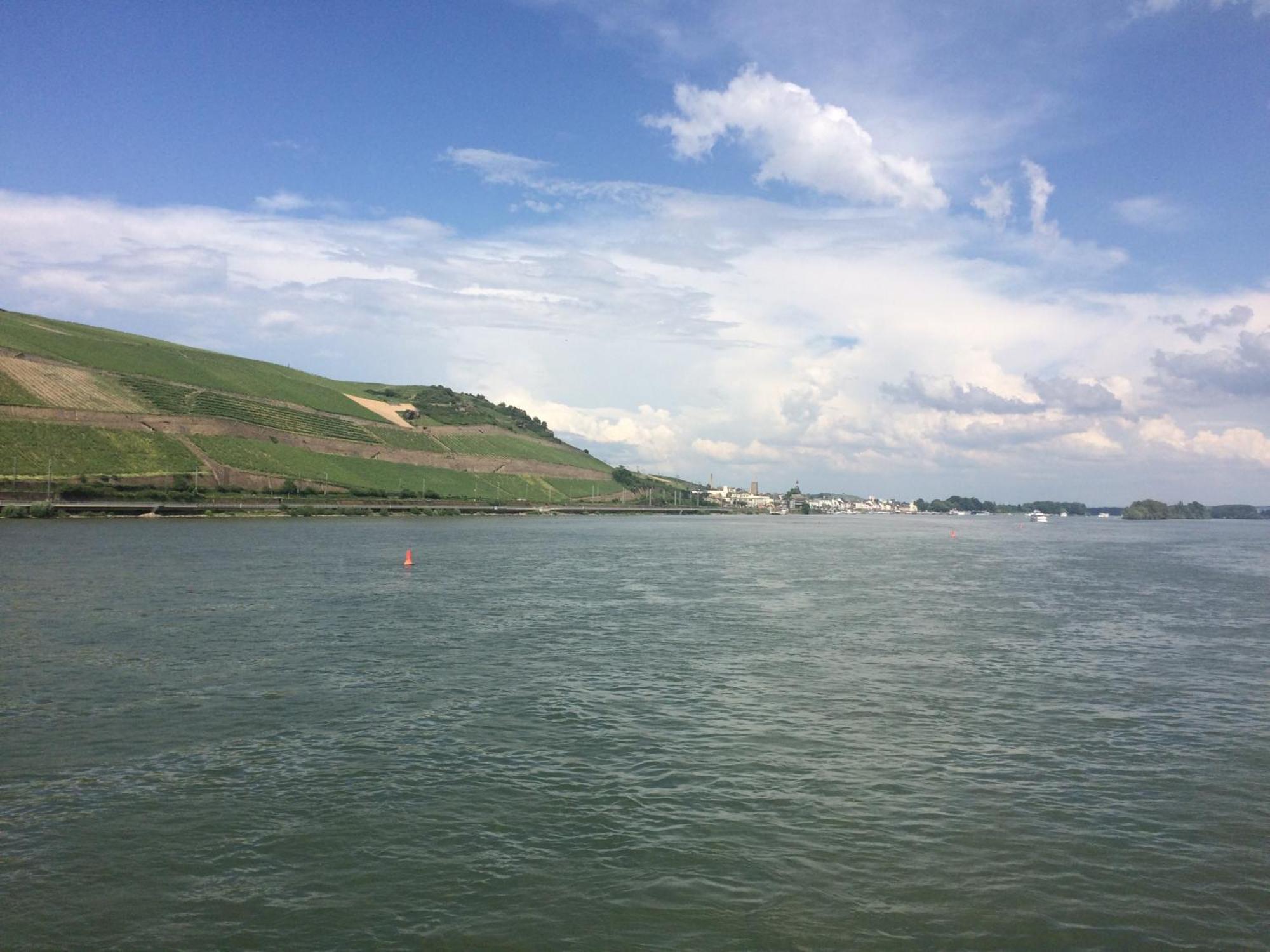 Haus Am Weinberg Appartement Rüdesheim am Rhein Buitenkant foto