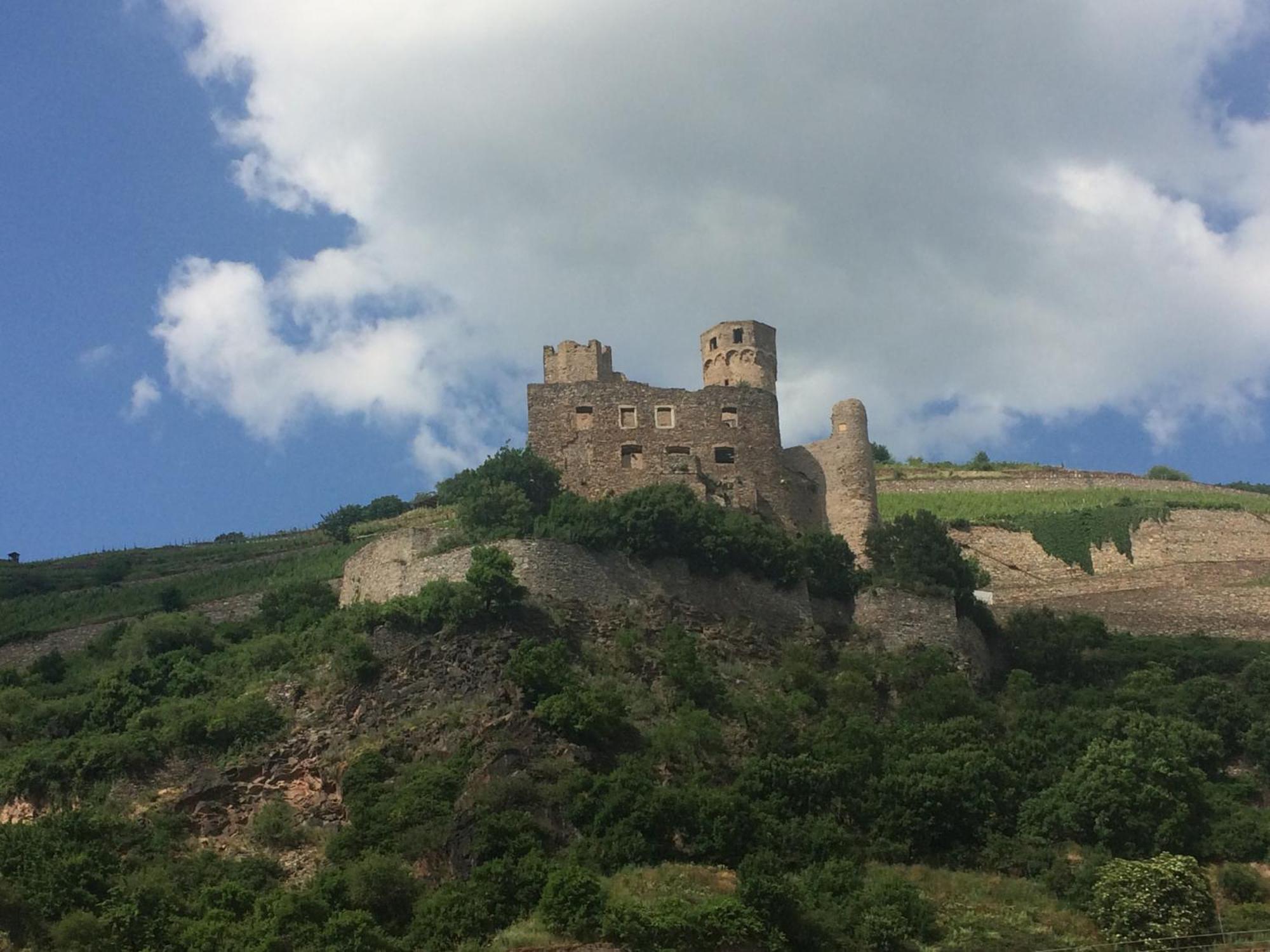 Haus Am Weinberg Appartement Rüdesheim am Rhein Buitenkant foto